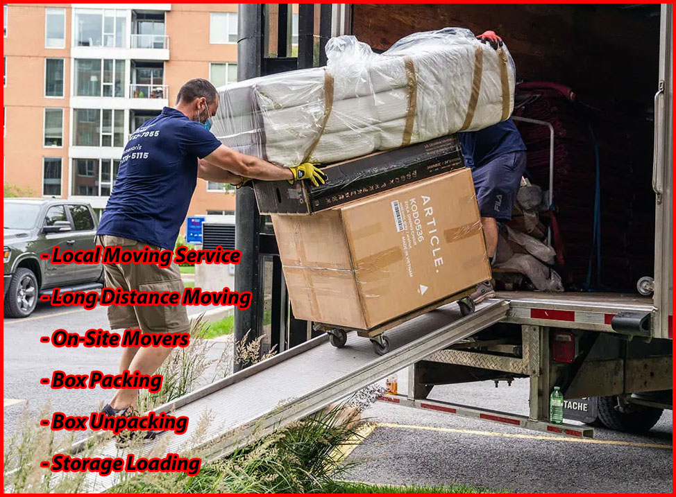 Packers And Movers Noida Sector 94